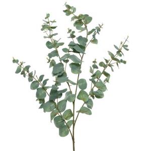 MARELIDA Deko Zweig Eukalyptus - H: 118cm grün