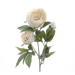 MARELIDA Pfingstrose mit 2 Blüten und Knospe - H: 75cm beige
