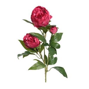 MARELIDA Pfingstrose mit 2 Blüten und Knospe - H: 75cm rot