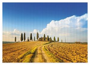 Wallario Schaum-Badematte »Italien - Toskana unter blauem Himmel einsame Farm« , Höhe 5 mm, rutschhemmend, geeignet für Fußbodenheizungen