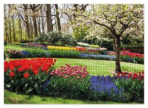 Wallario Schaum-Badematte »Bunte Blumen und Kirsch-Baum im Park blühen im Frühling« , Höhe 5 mm, rutschhemmend, geeignet für Fußbodenheizungen