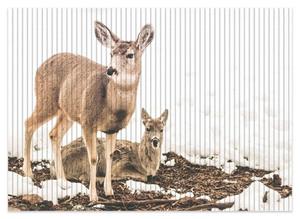 Wallario Schaum-Badematte »Junge Elche im Schnee in Arizona - Amerika« , Höhe 5 mm, rutschhemmend, geeignet für Fußbodenheizungen