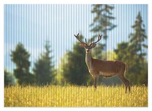 Wallario Schaum-Badematte »Junger Hirsch auf einer Wiese« , Höhe 5 mm, rutschhemmend, geeignet für Fußbodenheizungen