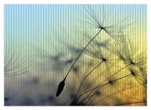 Wallario Schaum-Badematte »Samen der Pusteblume in Nahaufnahme vor blauem Himmel« , Höhe 5 mm, rutschhemmend, geeignet für Fußbodenheizungen