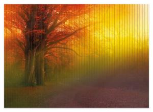 Wallario Schaum-Badematte »Bunter Herbst - Waldlandschaft bei Nebel in Regenbogenfarben« , Höhe 5 mm, rutschhemmend, geeignet für Fußbodenheizungen