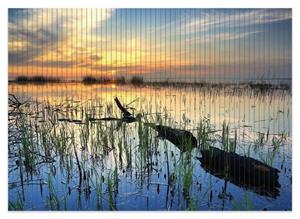 Wallario Schaum-Badematte »Schilf am Abend - Sonnenuntergang über der Seelandschaft« , Höhe 5 mm, rutschhemmend, geeignet für Fußbodenheizungen