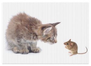 Wallario Schaum-Badematte »Katze und Maus beim Spielen - weißer Hintergrund« , Höhe 5 mm, rutschhemmend, geeignet für Fußbodenheizungen