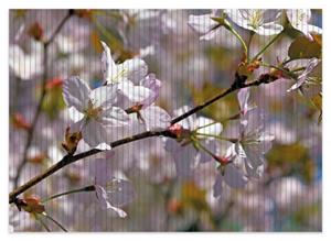 Wallario Schaum-Badematte »Kirschblüten in zartem Rosa - Frühling im Garten« , Höhe 5 mm, rutschhemmend, geeignet für Fußbodenheizungen