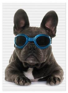 Wallario Schaum-Badematte »Cooler Hund mit Sonnenbrille in blau - Französische Bulldogge« , Höhe 5 mm, rutschhemmend, geeignet für Fußbodenheizungen