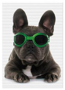 Wallario Schaum-Badematte »Cooler Hund mit Sonnenbrille in grün - Französische Bulldogge« , Höhe 5 mm, rutschhemmend, geeignet für Fußbodenheizungen