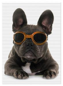 Wallario Schaum-Badematte »Cooler Hund mit Sonnenbrille in orange - Französische Bulldogge« , Höhe 5 mm, rutschhemmend, geeignet für Fußbodenheizungen