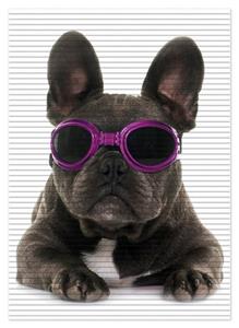 Wallario Schaum-Badematte »Cooler Hund mit Sonnenbrille in pink - Französische Bulldogge« , Höhe 5 mm, rutschhemmend, geeignet für Fußbodenheizungen