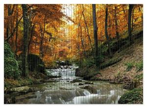 Wallario Schaum-Badematte »Kleiner Bach über Steine im Herbstwald« , Höhe 5 mm, rutschhemmend, geeignet für Fußbodenheizungen