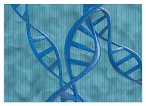 Wallario Schaum-Badematte »DNA-Strang in blau auf türkisem Hintergrund« , Höhe 5 mm, rutschhemmend, geeignet für Fußbodenheizungen