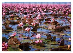 Wallario Schaum-Badematte »Seerosenlandschaft mit rosa Blüten« , Höhe 5 mm, rutschhemmend, geeignet für Fußbodenheizungen