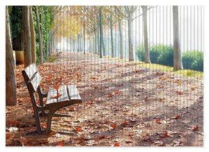 Wallario Schaum-Badematte »Einsame Parkbank an einer Allee - Herbststimmung« , Höhe 5 mm, rutschhemmend, geeignet für Fußbodenheizungen