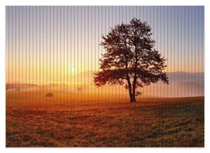 Wallario Schaum-Badematte »Sonnenaufgang über der Wiese mit Nebel« , Höhe 5 mm, rutschhemmend, geeignet für Fußbodenheizungen