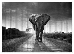 Wallario Schaum-Badematte »Elefant bei Sonnenaufgang in Afrika schwarzweiß« , Höhe 5 mm, rutschhemmend, geeignet für Fußbodenheizungen