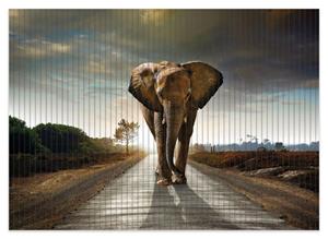 Wallario Schaum-Badematte »Elefant bei Sonnenaufgang in Afrika« , Höhe 5 mm, rutschhemmend, geeignet für Fußbodenheizungen