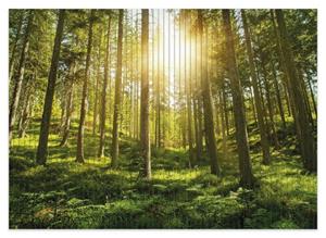 Wallario Schaum-Badematte »Sonnenstrahlen im Nadelwald mit Moos und Farn« , Höhe 5 mm, rutschhemmend, geeignet für Fußbodenheizungen