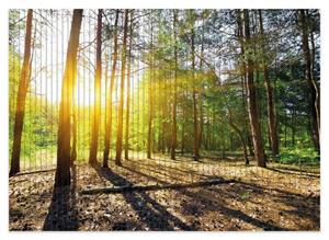 Wallario Schaum-Badematte »Sonnenstrahlen tief hinter dem Wald« , Höhe 5 mm, rutschhemmend, geeignet für Fußbodenheizungen