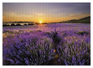 Wallario Schaum-Badematte »Sonnenuntergang über dem Lavendel« , Höhe 5 mm, rutschhemmend, geeignet für Fußbodenheizungen