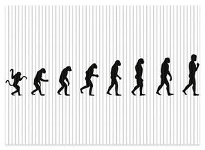 Wallario Schaum-Badematte »Evolution - Die Entwicklung des Menschen« , Höhe 5 mm, rutschhemmend, geeignet für Fußbodenheizungen