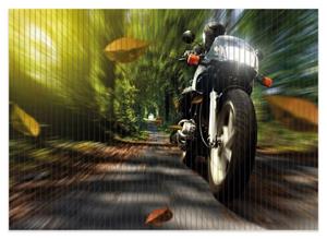 Wallario Schaum-Badematte »Fahrendes Motorrad im Wald mit Herbstlaub« , Höhe 5 mm, rutschhemmend, geeignet für Fußbodenheizungen