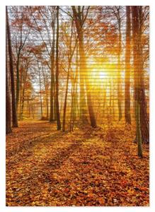 Wallario Schaum-Badematte »Sonnenuntergang im herbstlichen Wald« , Höhe 5 mm, rutschhemmend, geeignet für Fußbodenheizungen