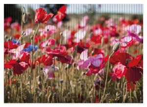 Wallario Schaum-Badematte »Mohnblumen am Rande eines Feldes« , Höhe 5 mm, rutschhemmend, geeignet für Fußbodenheizungen