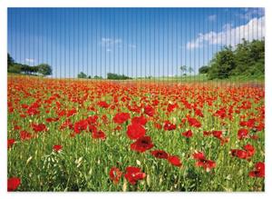 Wallario Schaum-Badematte »Mohnblumenfeld- rote Blumen unter blauem Himmel« , Höhe 5 mm, rutschhemmend, geeignet für Fußbodenheizungen