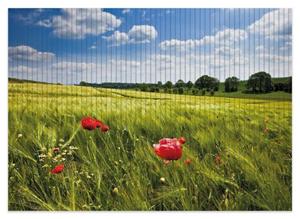 Wallario Schaum-Badematte »Mohnblumenwiese auf grüner Wiese unter blauem Himmel« , Höhe 5 mm, rutschhemmend, geeignet für Fußbodenheizungen