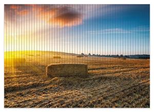 Wallario Schaum-Badematte »Stroh auf dem Feld bei untergehender Sonne« , Höhe 5 mm, rutschhemmend, geeignet für Fußbodenheizungen