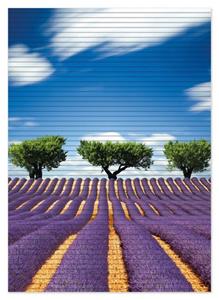 Wallario Schaum-Badematte »Abstraktes lila Blumenfeld mit Lavendel« , Höhe 5 mm, rutschhemmend, geeignet für Fußbodenheizungen