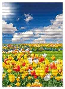 Wallario Schaum-Badematte »Tulpenwiese unter blauem Himmel« , Höhe 5 mm, rutschhemmend, geeignet für Fußbodenheizungen