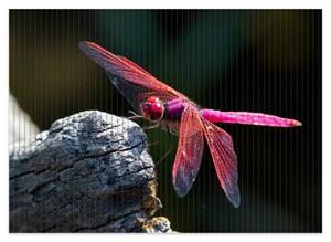 Wallario Schaum-Badematte »Pinke Libelle auf einem Stein« , Höhe 5 mm, rutschhemmend, geeignet für Fußbodenheizungen