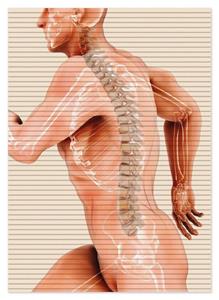 Wallario Schaum-Badematte »Anatomie Wirbelsäule - Menschliches Skelett beim Laufen« , Höhe 5 mm, rutschhemmend, geeignet für Fußbodenheizungen