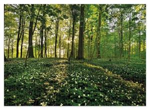 Wallario Schaum-Badematte »Waldanemonen und Sonnenstrahlen im Wald« , Höhe 5 mm, rutschhemmend, geeignet für Fußbodenheizungen