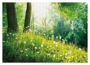 Wallario Schaum-Badematte »Pusteblumen im Wald mit einfallenden Sonnenstrahlen« , Höhe 5 mm, rutschhemmend, geeignet für Fußbodenheizungen