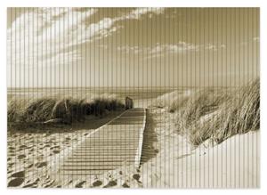 Wallario Schaum-Badematte »Auf dem Holzweg zum Strand in Sepiafarben« , Höhe 5 mm, rutschhemmend, geeignet für Fußbodenheizungen