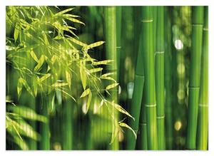 Wallario Schaum-Badematte »Bambuswald mit grünen Bambuspflanzen« , Höhe 5 mm, rutschhemmend, geeignet für Fußbodenheizungen