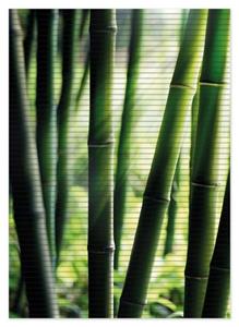 Wallario Schaum-Badematte »Bambuswald und Sonnenstrahlen« , Höhe 5 mm, rutschhemmend, geeignet für Fußbodenheizungen