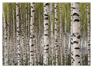 Wallario Schaum-Badematte »Birkenwald - Baumstämme in schwarz weiß« , Höhe 5 mm, rutschhemmend, geeignet für Fußbodenheizungen