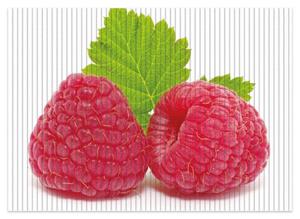 Wallario Schaum-Badematte »Himbeeren mit grünem Blatt auf weißem Grund« , Höhe 5 mm, rutschhemmend, geeignet für Fußbodenheizungen