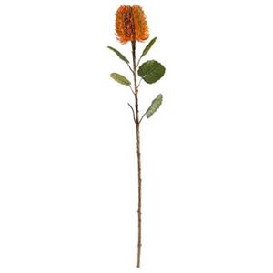 Leen Bakker Kunstbloem Banksia - oranje - 57 cm