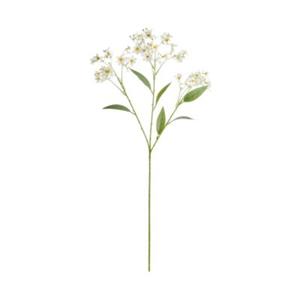 Butlers FLORISTA Blütenzweig Daphne Höhe 72cm creme