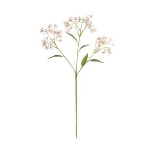 Butlers FLORISTA Blütenzweig Daphne Höhe 72cm hellrosa