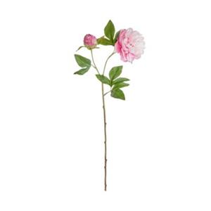 Butlers FLORISTA Pfingstrose Höhe 71cm rosa