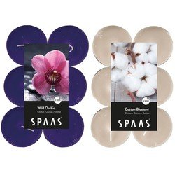 Candles by Spaas geurkaarsen - 24x stuks in 2 geuren Blossom Flowers en Wild Orchid - geurkaarsen