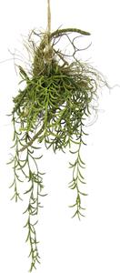 I.Ge.A. Kunstpflanze Tillandsia, (1 St.), Hänger auf Ast Künstlicher Moos Hängeampel Kunstpflanze